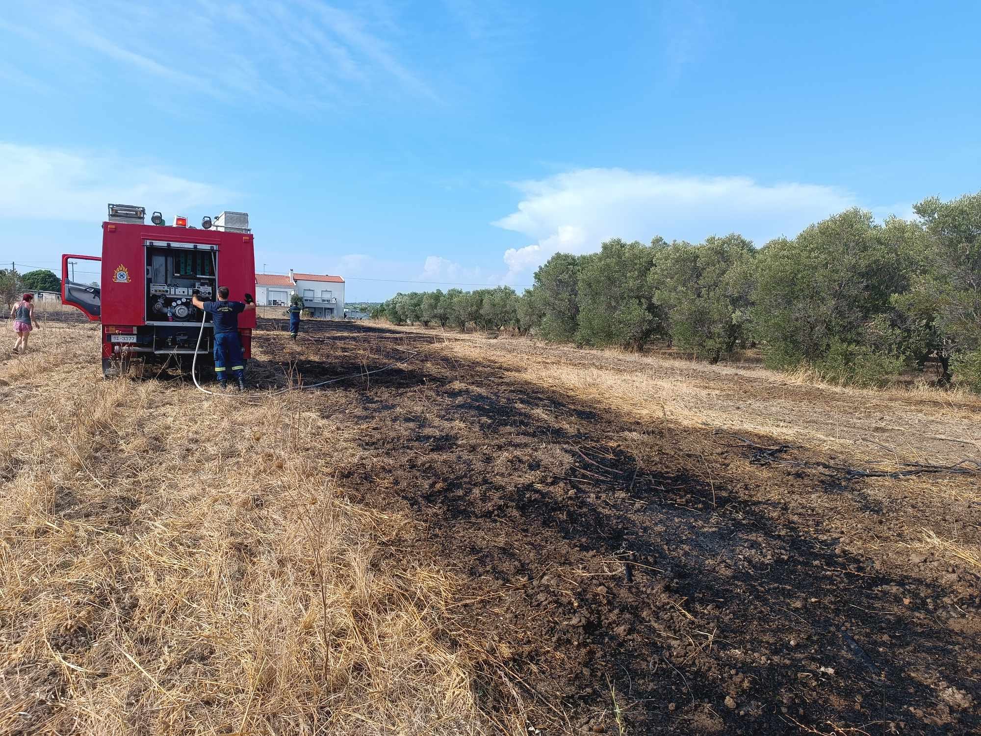 συναγερμός