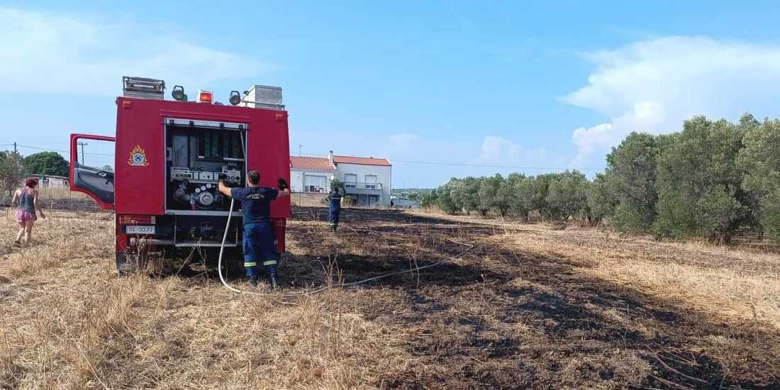 συναγερμός